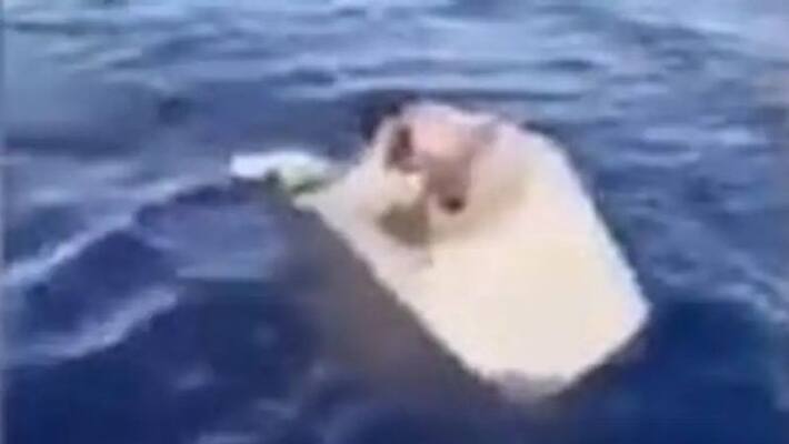 Brazillian despite not knowing to swim survived in ocean for 11 days rescued Brazillian despite not knowing to swim survived in ocean for 11 days rescued