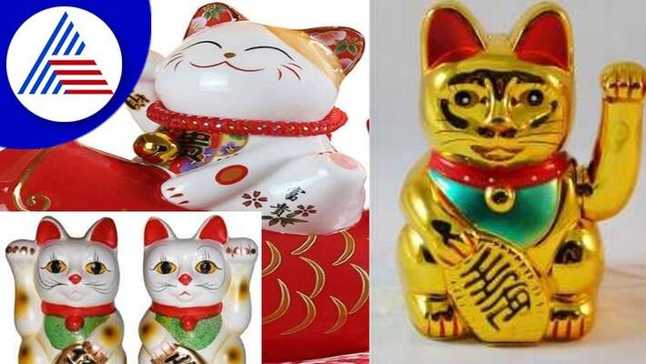 Fengshui Tips Of Lucky Cat keep at home bring luck vaastu tips here Fengshui Tips Of Lucky Cat keep at home bring luck vaastu tips here