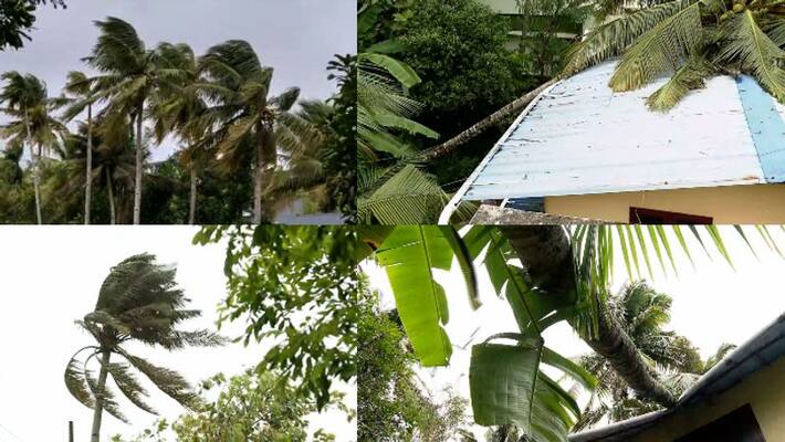 Strong winds, widespread damage in Kollam, tree fell on railway track Strong winds, widespread damage in Kollam, tree fell on railway track