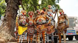 tigers descend thiruvananthapuram welcome onam week celebrations
