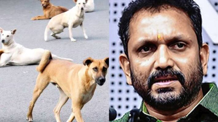 k surendran ask goverment to ensure quality of rabbies vaccine k surendran ask goverment to ensure quality of rabbies vaccine