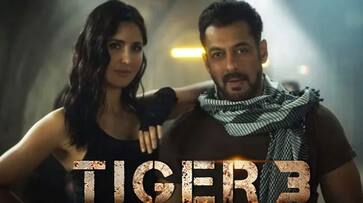 Tiger 3 Box Office: Salman Khan, Katrina Kaif's film gets impact by World Cup match; hits Rs 162 crore in 4 days RBA Tiger 3 Box Office: Salman Khan, Katrina Kaif's film gets impact by World Cup match; hits Rs 162 crore in 4 days RBA