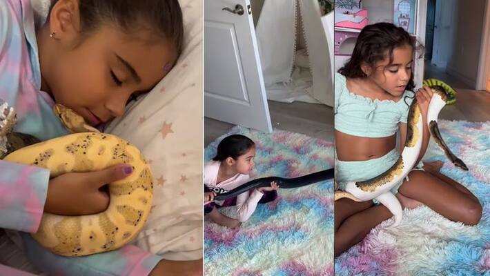 Little girl pets snakes, playing with python video goes viral akb Little girl pets snakes, playing with python video goes viral akb