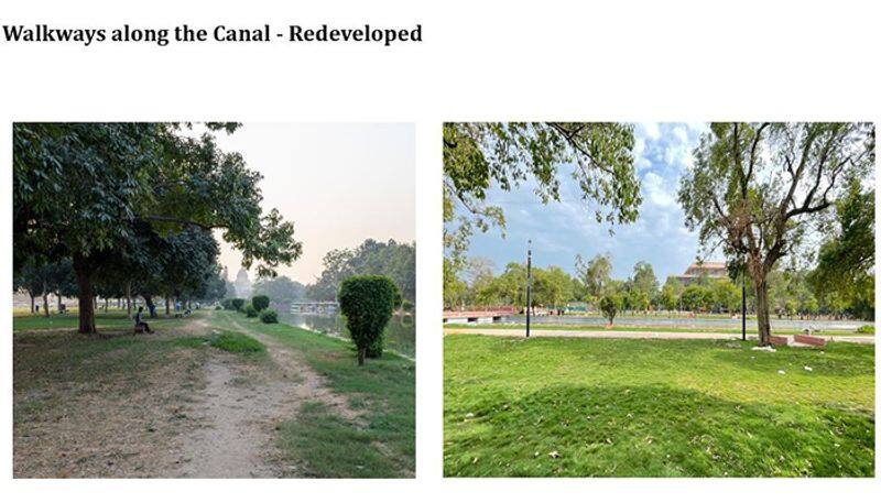 The transformation of Central Vista Avenue