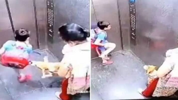 Viral Video: Pet Dog Bites Child in Lift, Owner Looks On Vin Viral Video: Pet Dog Bites Child in Lift, Owner Looks On Vin