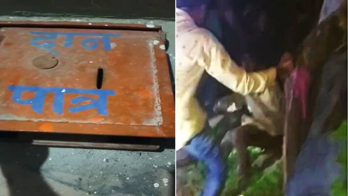 udaipur news thief captured by villagers and beaten asc udaipur news thief captured by villagers and beaten asc