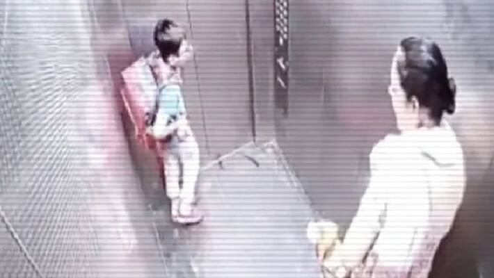 pet dog bites child inside lift pet dog bites child inside lift