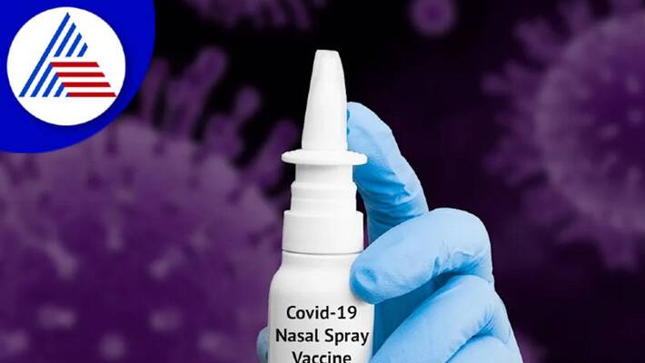 Indias First Intranasal Covid Vaccine By Bharat Biotech gets DCGI approval Vin Indias First Intranasal Covid Vaccine By Bharat Biotech gets DCGI approval Vin