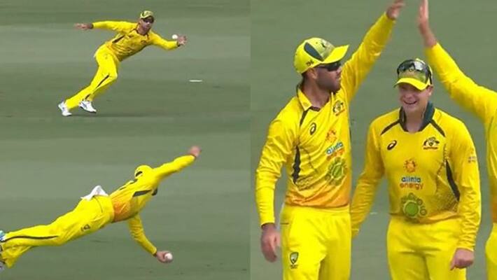Watch Viral Video Glenn Maxwell took a stunner to out Martin Guptill Watch Viral Video Glenn Maxwell took a stunner to out Martin Guptill