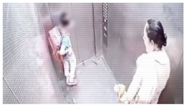 pet dog bites child in lift owner not response pet dog bites child in lift owner not response