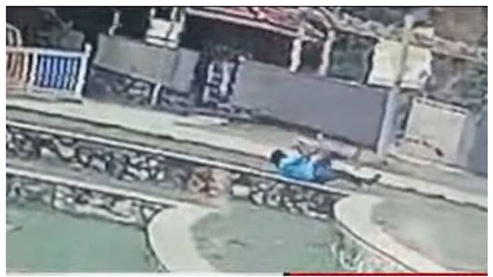 A security guard at thrithala Park was bitten by a dog A security guard at thrithala Park was bitten by a dog