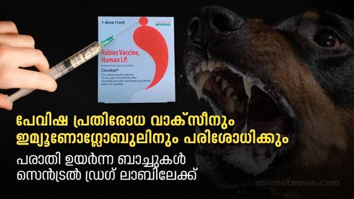 Rabies vaccine and immunoglobulin will be checked in central lab Rabies vaccine and immunoglobulin will be checked in central lab
