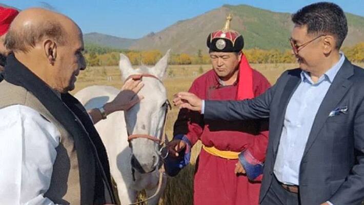 Rajnath Singh Gifted Horse By Mongolian President Rajnath Singh Gifted Horse By Mongolian President