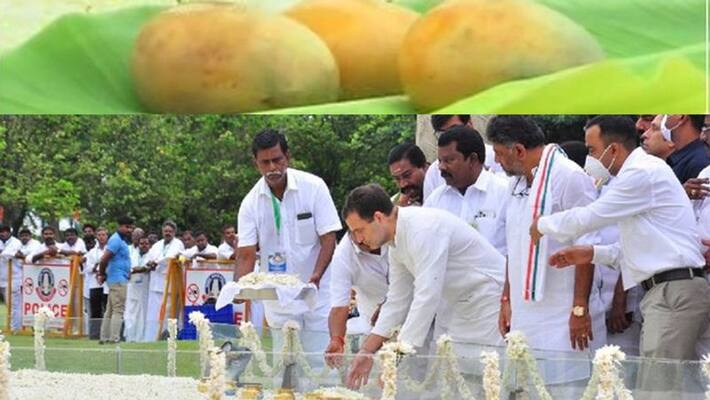 Rahul worshiped with 3 mangoes at Rajiv Gandhi memorial.. Do you know the reason? Rahul worshiped with 3 mangoes at Rajiv Gandhi memorial.. Do you know the reason?