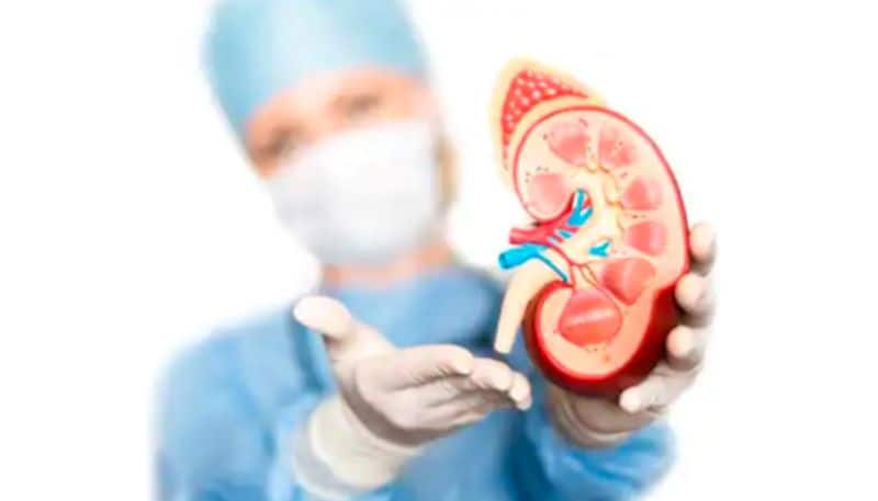 These 10 Daily Habits That Can Harm Your Kidneys