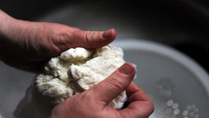 imitation paneer sales in market Know how to check the purity of ghee and paneer dva imitation paneer sales in market Know how to check the purity of ghee and paneer dva