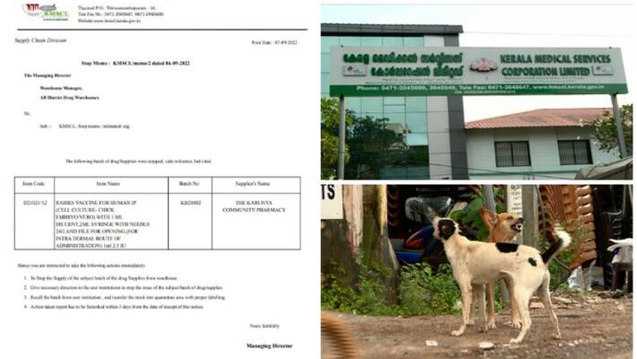 The use of a batch of rabies vaccine is stopped, recalled, concerns about the cold chain system in govt sector The use of a batch of rabies vaccine is stopped, recalled, concerns about the cold chain system in govt sector