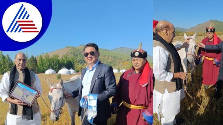 Mongolia govt gifted horse to defence Minister Rajnath singh akb Mongolia govt gifted horse to defence Minister Rajnath singh akb