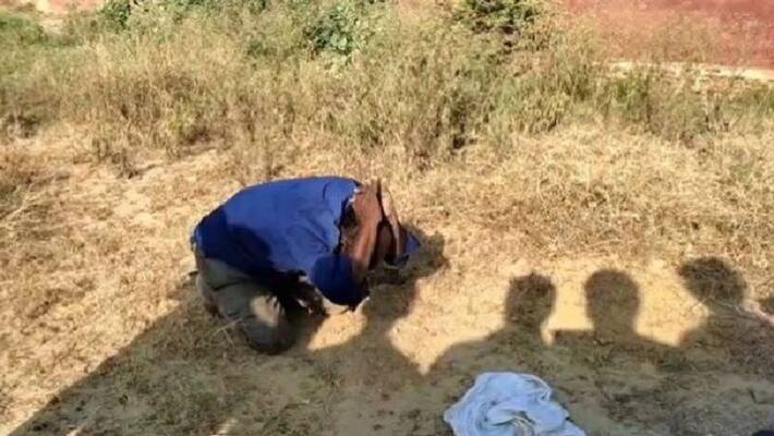 Mathura employee who went to inspect ancient site told himself snake started doing strange things officers also baffled Mathura employee who went to inspect ancient site told himself snake started doing strange things officers also baffled