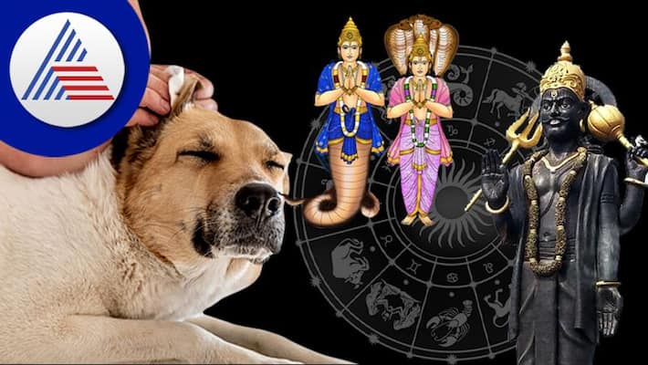 Does Keeping A Dog Make Shani And Ketu Strong skr Does Keeping A Dog Make Shani And Ketu Strong skr