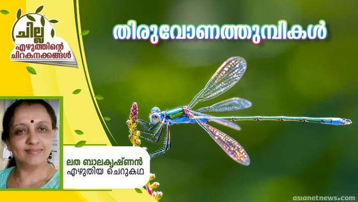 chilla malayalam short story by latha balakrishnan chilla malayalam short story by latha balakrishnan