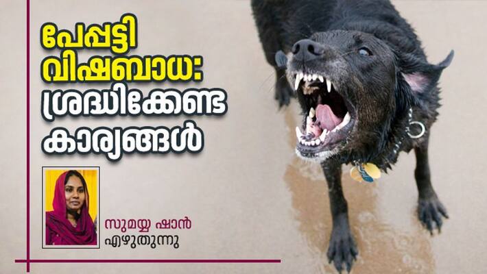 How can we prevent the death of rabies by Sumayya Shan How can we prevent the death of rabies by Sumayya Shan