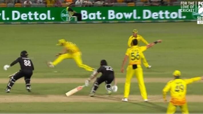 watch video comedy of errors while kane williamson and devon conway batting against australia watch video comedy of errors while kane williamson and devon conway batting against australia