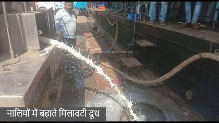 alwar news due to lumpy virus people mixing synthetic milk to increase quantity dairy operators threw it in drainage asc alwar news due to lumpy virus people mixing synthetic milk to increase quantity dairy operators threw it in drainage asc