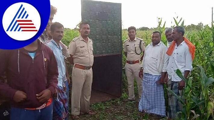 leopard found and escaped in haveri gow leopard found and escaped in haveri gow