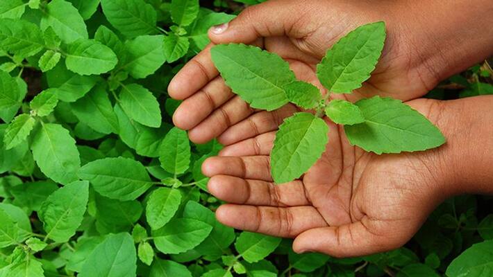 Bhadrapada Purnima 2022 Purnima Remedies Purnima Upay Kab hai Purnima september 2022 Purnima MMA Bhadrapada Purnima 2022 Purnima Remedies Purnima Upay Kab hai Purnima september 2022 Purnima MMA