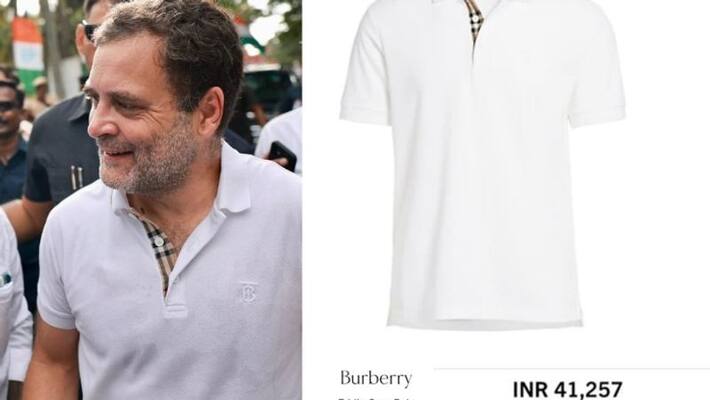 BJP Congress fight over Rahul Gandhi's t shirt BJP Congress fight over Rahul Gandhi's t shirt
