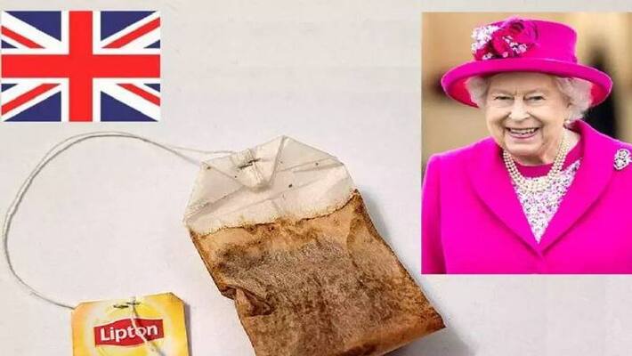 teabag used by Queen Elizabeth sold for Rs 9.5 lakh teabag used by Queen Elizabeth sold for Rs 9.5 lakh