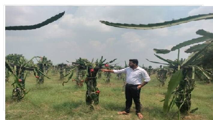 Shahjahanpur Computer Science graduate quits job and focuses on farming wants to meet CM Yogi Shahjahanpur Computer Science graduate quits job and focuses on farming wants to meet CM Yogi