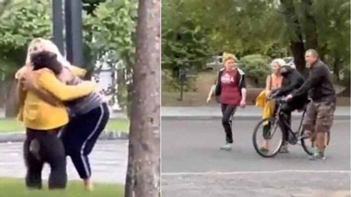 Chimpanzee escapes from zoo zookeeper offers jacket Chimpanzee escapes from zoo zookeeper offers jacket