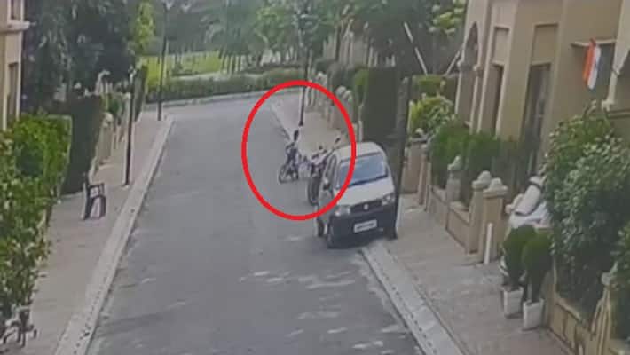 Dog targeted an innocent child in Lucknow who is responsible after such incidents Dog targeted an innocent child in Lucknow who is responsible after such incidents