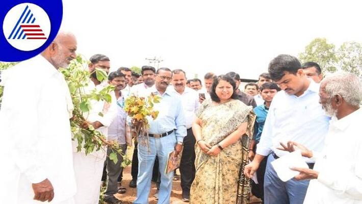 Farmers Faces Problems Due to Heavy Rain in Yadgir grg Farmers Faces Problems Due to Heavy Rain in Yadgir grg