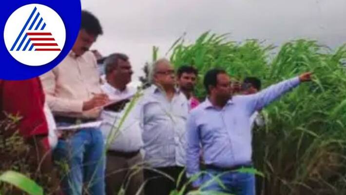 Belagavi Floods Central study team inspects flood hit areas at belagavi rav Belagavi Floods Central study team inspects flood hit areas at belagavi rav