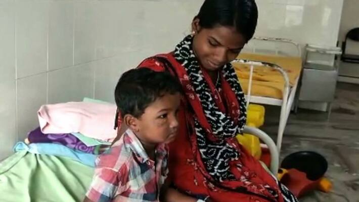 Stray dog attacked three year old boy in Attappadi Stray dog attacked three year old boy in Attappadi