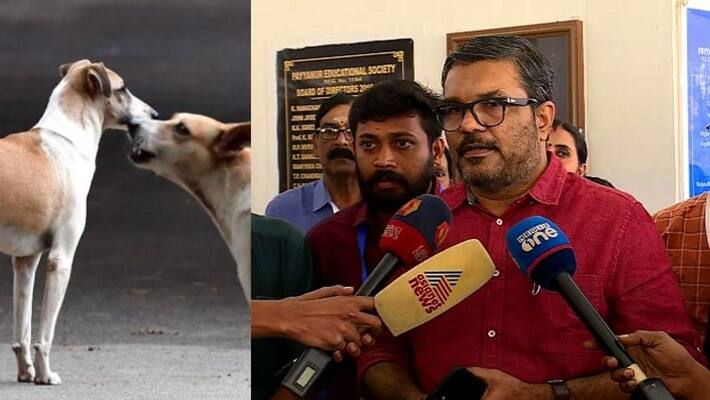 Stray dog attack, Serious situation, Will execute action plan, says Minister M B Rajesh Stray dog attack, Serious situation, Will execute action plan, says Minister M B Rajesh
