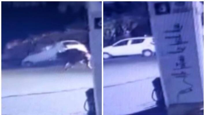 video of a wild buffalo breaking a car and motor vehicles in road ooty video of a wild buffalo breaking a car and motor vehicles in road ooty