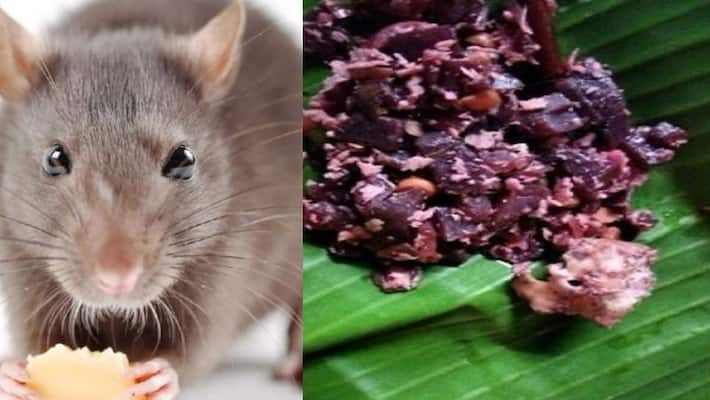 Rat head found in beetroot fry in tamilnadu Restaurant, complaint lodged akb Rat head found in beetroot fry in tamilnadu Restaurant, complaint lodged akb