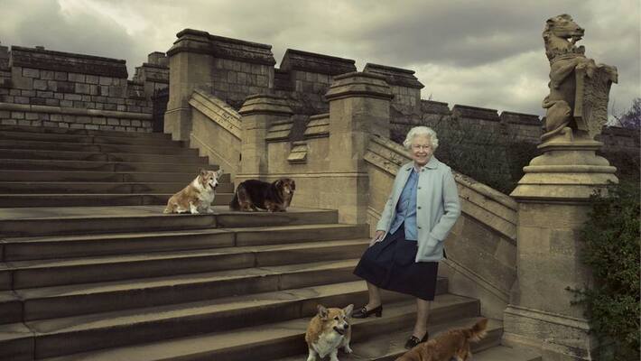 Queens younger son Prince Andrew to care for her beloved corgi dogs mda Queens younger son Prince Andrew to care for her beloved corgi dogs mda