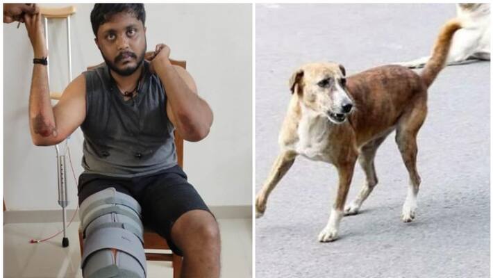 stray dog cause scooter accident in kottayam young advocate injured stray dog cause scooter accident in kottayam young advocate injured