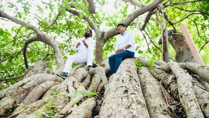 TRS rajasabha mp santhosh kumar released two crore funds for the care of pillamarri in mahbubnagar TRS rajasabha mp santhosh kumar released two crore funds for the care of pillamarri in mahbubnagar