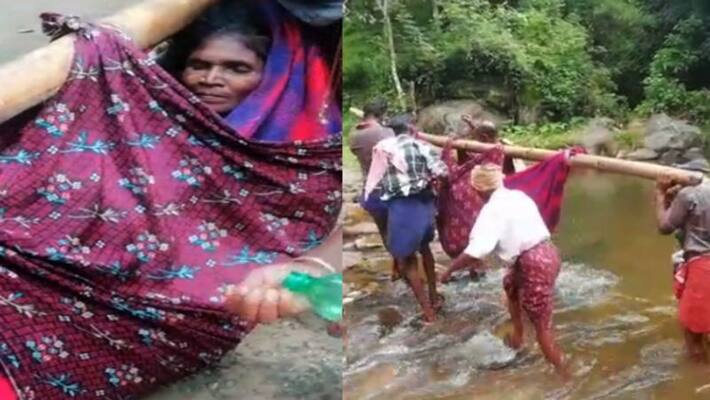 tribe woman hospitalised after walking of 7 kilometre in parambikulam tribe woman hospitalised after walking of 7 kilometre in parambikulam