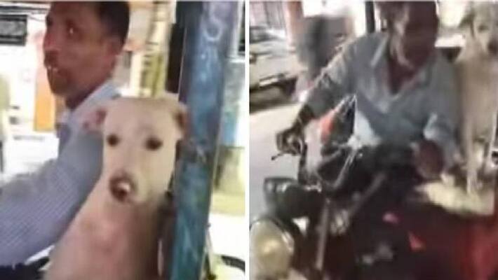 e Rickshaw driver takes dog with him in all his ride e Rickshaw driver takes dog with him in all his ride