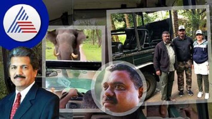 best bolero driver in the world anand mahindra after man dodges chasing elephant viral video ash best bolero driver in the world anand mahindra after man dodges chasing elephant viral video ash
