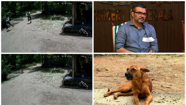 health and animal husbandry department will find out the hotspots health and animal husbandry department will find out the hotspots