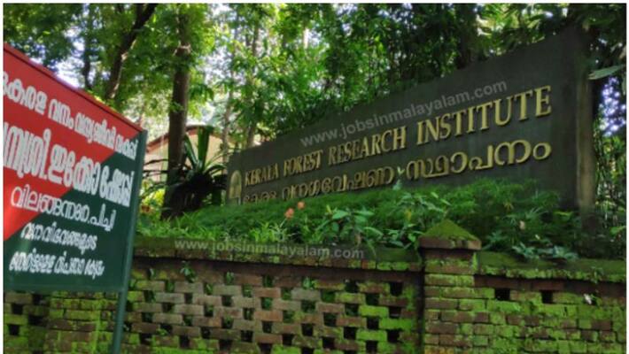 job opportunities in kerala forest research institute job opportunities in kerala forest research institute