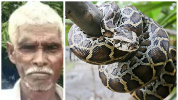 snake catcher dies while trying to pull out snake that fell into wellcin tamilnadu snake catcher dies while trying to pull out snake that fell into wellcin tamilnadu